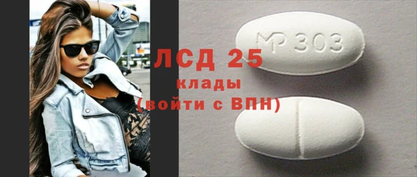 ГАЛЛЮЦИНОГЕННЫЕ ГРИБЫ Балахна