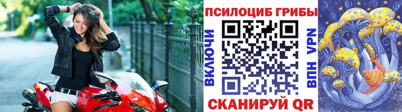 Псилоцибиновые грибы прущие грибы  kraken зеркало  Тайга 